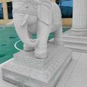 宜春 白麻花岗岩动物异形石雕-大象