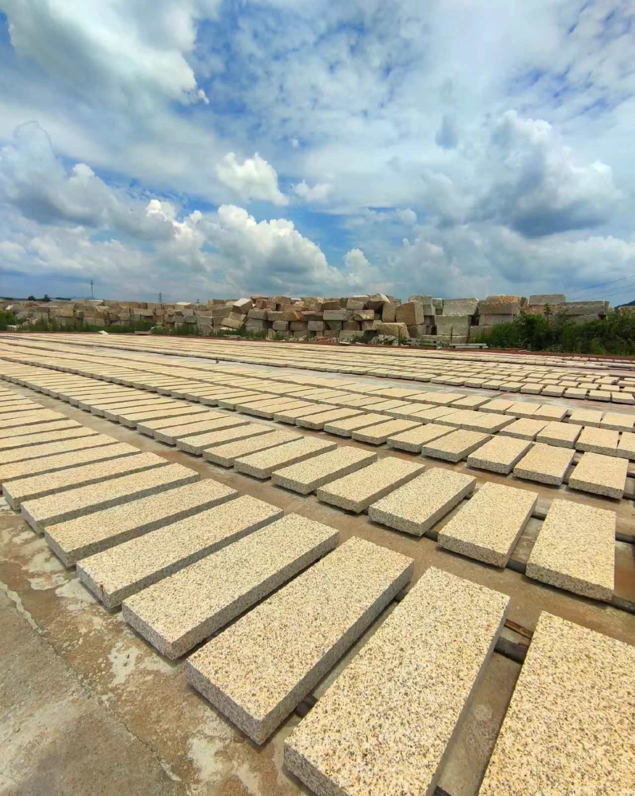 宜春 黄金麻花岗岩荔枝面地铺石防护中