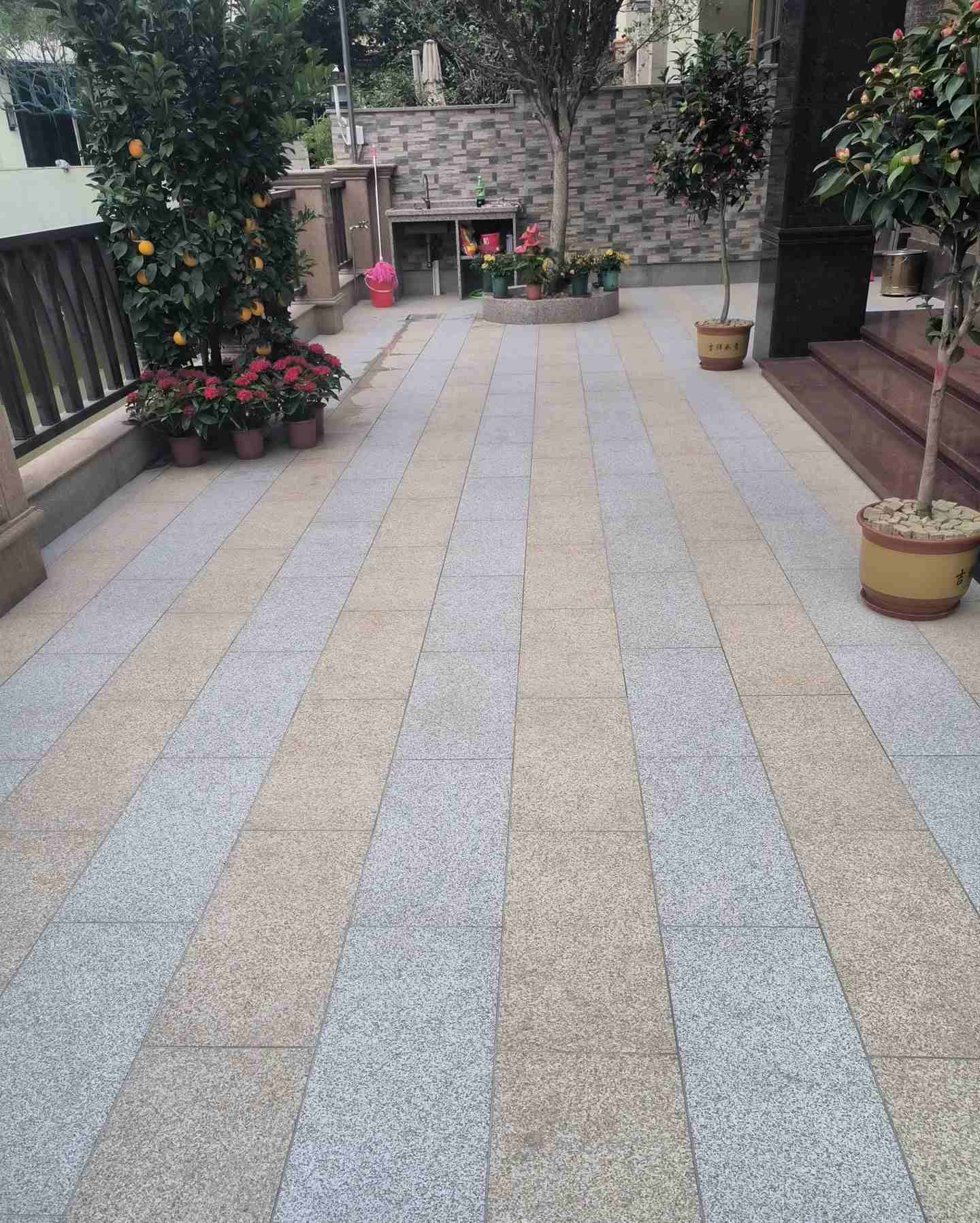 宜春 黄金麻白麻荔枝面庭院铺装展示