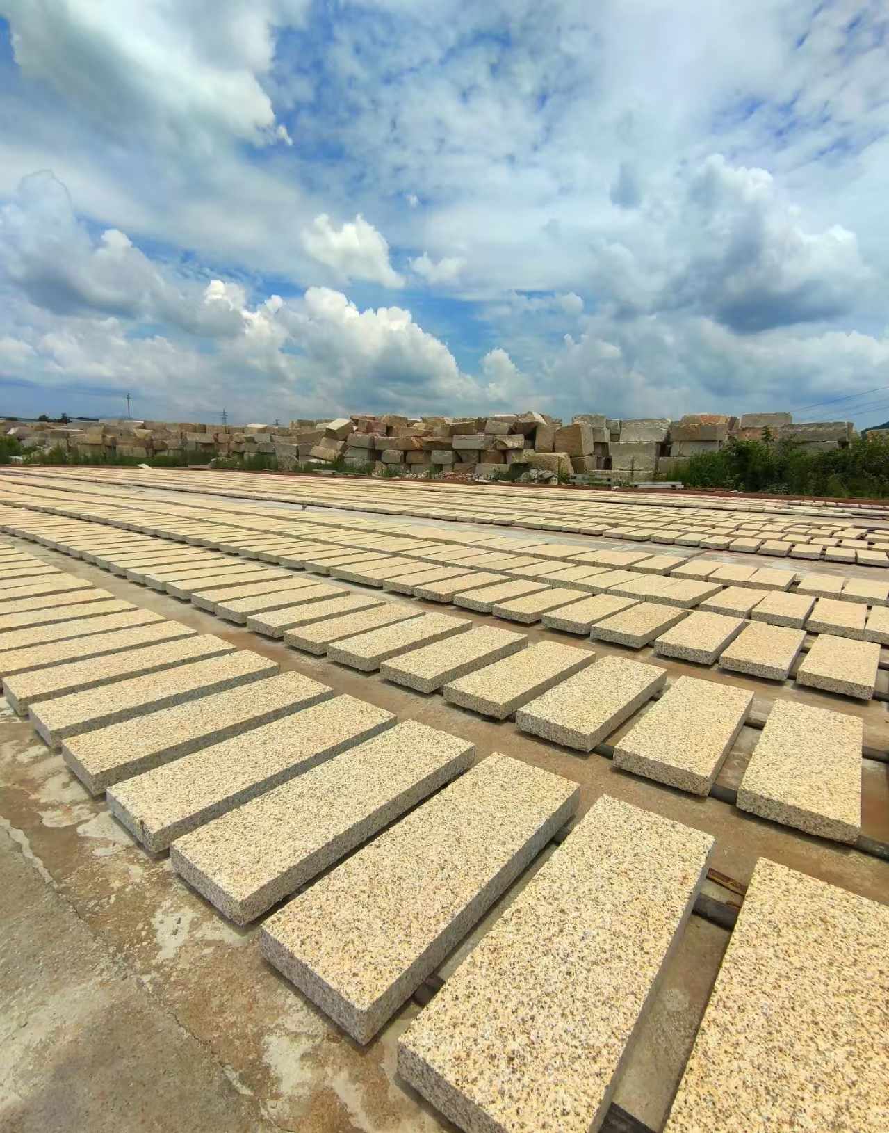 宜春 黄金麻荔枝面花岗岩石材地铺石防护中